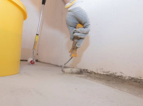 Best Fumigation Services  in Sunset, LA